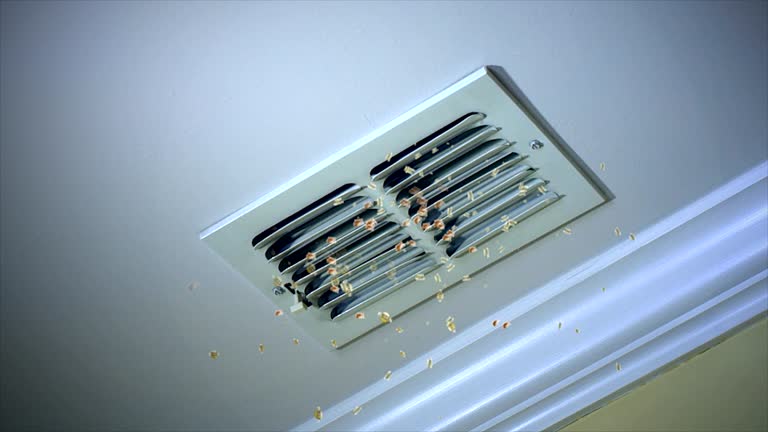 Best Local Air Duct Cleaning Services  in Cumberland, IN